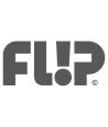 Flip Skateboards
